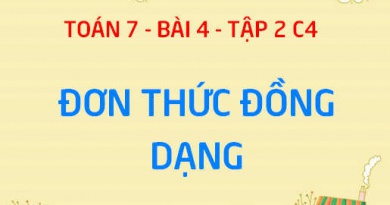 Đơn thức đồng dạng là gì? Cách cộng trừ các đơn thức đồng dạng - Toán 7 bài 4 tập 2 chương 4